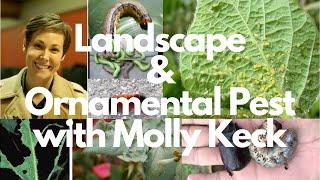 Landscape and Ornamental Pest With Molly Keck *Webinar Series*