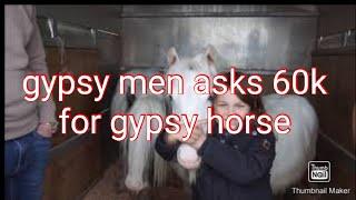 #gypsycobs #applebyhorsefair #horses  man asks 60k for horse