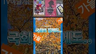 #국회의 뜰 #한강특별전 #임영웅 #tv어딜가든