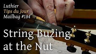 Luthier Tips du Jour Mailbag 184 - String Buzzing at the Nut