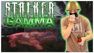 An Exercise in MISERY | STALKER GAMMA