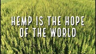 Hemp Is The Hope Of The World - Steve DeAngelo