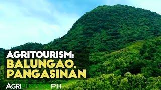 Agri-Tourism : Balungao, Pangasinan Agri-Tourism | Agribusiness Philippines