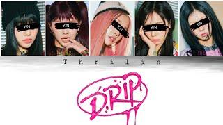 DRIP by Babymonster (Your Girl Group) 5 members version (Colour Coded Lyrics) | Thrilin |