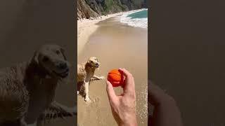 Praia da Ursa: Hidden Beach in Portugal