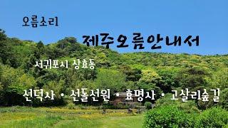 102. (2022.5.22) 서귀포시 상효동에 위치한 선돌선원, 남원읍 하례리에 위치한 고살리숲길 탐방로 및 경관 소개