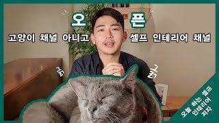 셀프인테리어 채널 오픈 기념 망한 티져 대공개 _Feat.고양이민영이