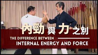 The Difference Between Internal Energy and Force 內勁 與 力 之別