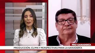 Producción, clima y perspectivas para la ganadería