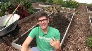 How to Properly Re-Mineralize the Garden For Spring