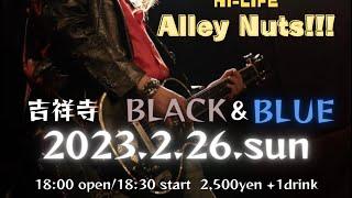 alley nuts 2023226 @Black&Blue