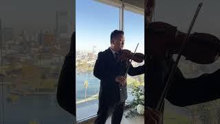 Perfect Ed Sheeran Violin Cover - William Yun Violin