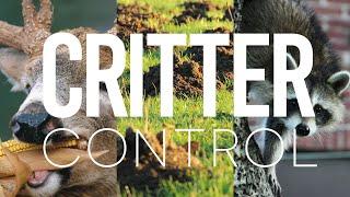 Critter Control