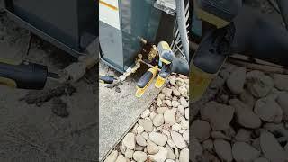 fieldpiece wireless guages