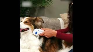 Electric Pet Lice comb