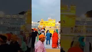 Golden TempleAmritsar India #shorts #trending #viralvideo #ytshorts #amrtsar #goldentemple