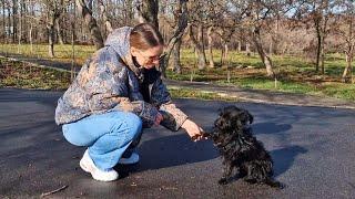 Heartbreaking Moment an Abandoned Dog Grabbed My Hand Asking to Take her Home