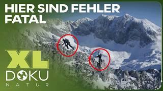 Extremsport in den Alpen: Über die eigenen Grenzen hinaus | XL Naturdoku