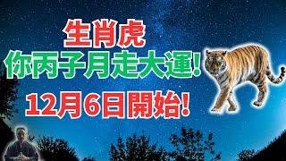 生肖虎注意！丙子月12月6日~1月4日，你有大轉折，霉運散盡，要走大運！別錯過！ #生肖虎2025年運勢 #生肖虎2025年運程 #屬虎人2025年運勢 #屬虎人2025年運程