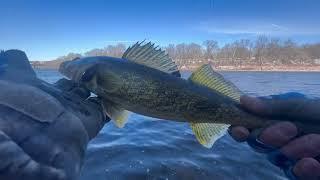 How To Catch Winter Walleye With Suspending Jerk Bait