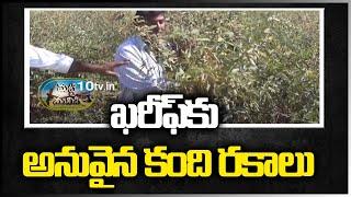 Varieties of Kandi suitable for Kharif | Know all about dal cultivation 10TVNews