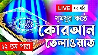 পৃথিবীর সেরা কারীর কন্ঠে কুরআন তেলাওয়াত লাইভ ১২তম পারা - Para 12 । Quran Tilawat Qari Saiful Parvez