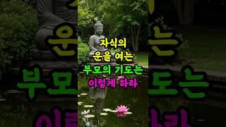 자식의 운을 여는 기도는 이렇게 하라 #부처님말씀 #불교 #기도법 #자식운 #부모공덕 #불교쇼츠
