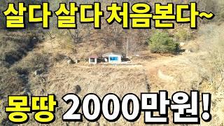 이런 빈집은 처음본다! 자연인 부럽지않은 곳! 몽땅 2,000만원에 사세요~ 땅314평 계곡물 졸졸~ 수도권 접근성까지 좋다!