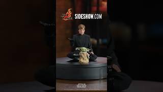 Hot Toys Luke Skywalker Poses 