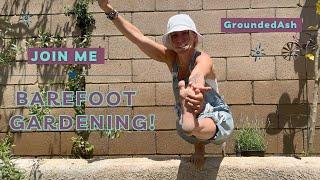 Barefoot Gardening Harvesting White Sage for Smudge