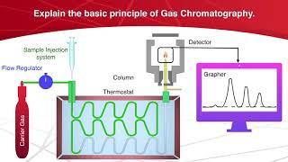 Explain Construction and Working of Gas Chromatography. | Chromatography | Analytical Chemistry