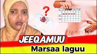 Rakkoo lee marsaa laguu fi rakkinna fiduu dandahan!(irregular period treatment)