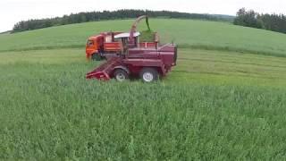 Automotive forage combine harvester PALESSE FS60 – reliable assistant