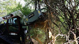 Customer in Action - MS560 Fixed Tooth Mulcher for Skid Steer