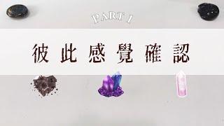 彼此感覺確認Part 1「無時間限制」｜塔羅占卜+占卜小物｜Ora Tarot