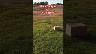 Shotgun v/s A Dinosaur #ithaca #shotgunking #targetpractice #shootingguns #dinodown #ebayinventory