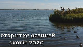 открытие осенней охоты 2020. Охота на утку 2020/ охота с чучелами NORTH WAY!
