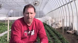 HIP Spotlight: Farmer Dave