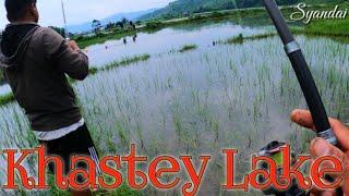 Khastey Lake Amazing Fishing Paddy Field  || Khastey Lake Fishing || Fishing Nepal 