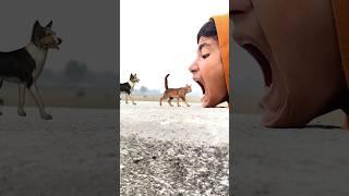 All Domestic Animals in My Mouth  Funny vfx magic video