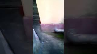 thivi's home tour