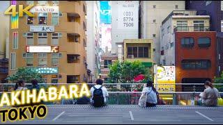 Akihabara otaku streets evening walk [4K ASMR]