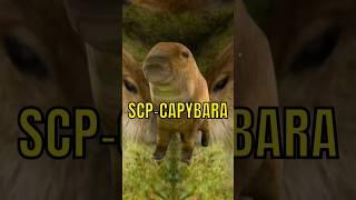 14.0 The Secret Capybara Update!