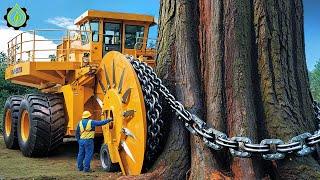 Extreme Dangerous Fastest Big Chainsaw Cutting Tree Machines | Monster Stump Removal Excavator #108