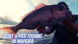 Boat Fishing For Large Dentex & Ultralight Pier Fishing - Madeira