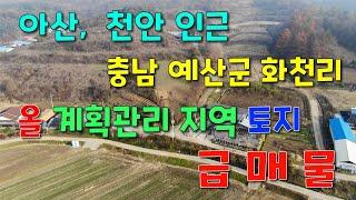 아산, 천안 30분 거리,  충남 예산군 대술면 화천리 9000평  올 계획관리 토지  급 매물  [세종시참착한부동산]