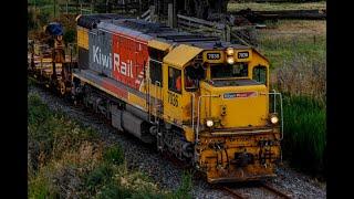 Summer Southland Rail Action (4K)