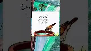 Golden Words|Urdu Quotes| motivation quotes|viral shorts​|islamic quoets​|beauty tips​|aqwale zaren