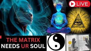 The Matrix Needs Your Soul: Breaking Free from Control | Harry B Joseph | Book of Wisdom