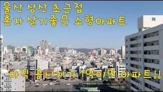 울산남구 혼자 살기좋은 달동주공 아파트 경매